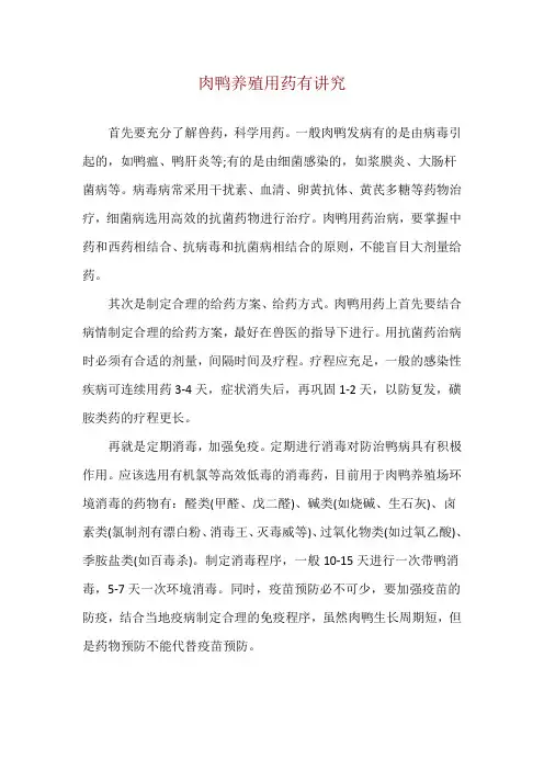 肉鸭养殖用药有讲究