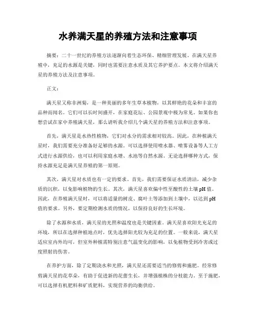 水养满天星的养殖方法和注意事项