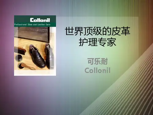 皮具护理教材