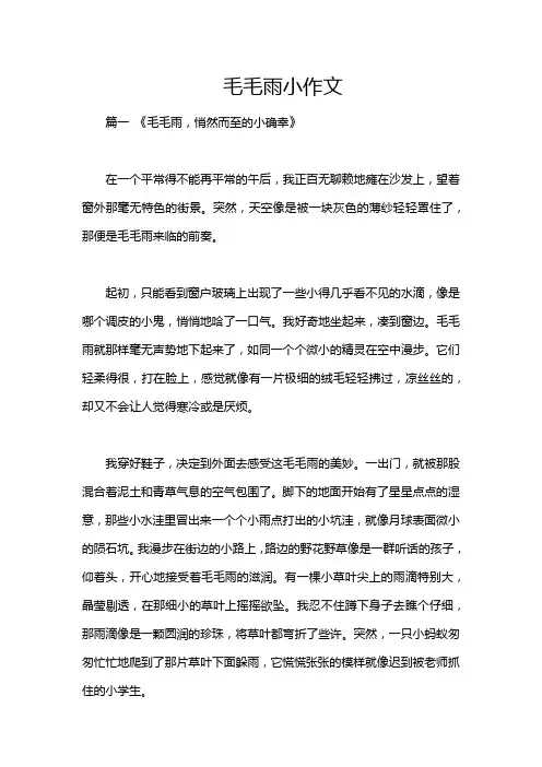 毛毛雨小作文