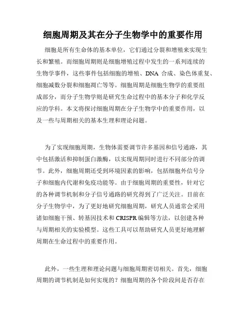 细胞周期及其在分子生物学中的重要作用