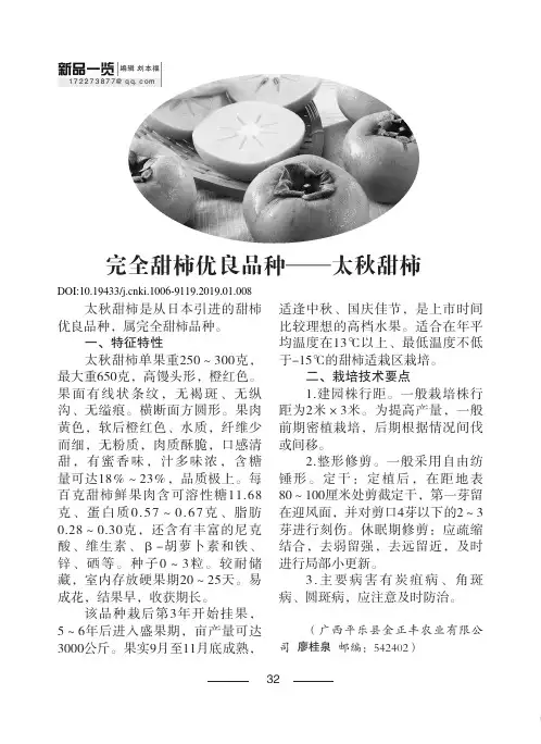 完全甜柿优良品种——太秋甜柿