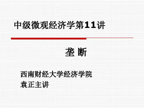 中级微观经济学第十一讲垄断