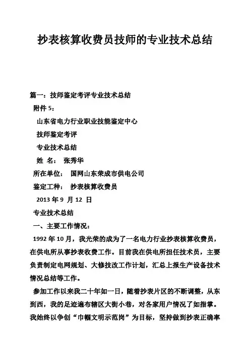 抄表核算收费员技师的专业技术总结