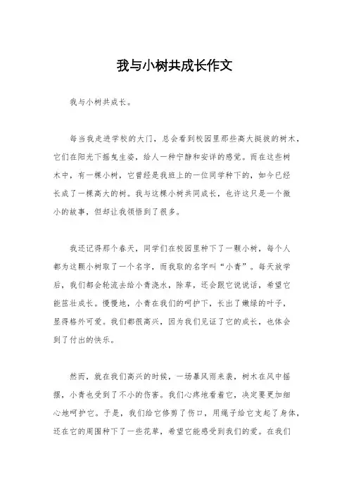 我与小树共成长作文