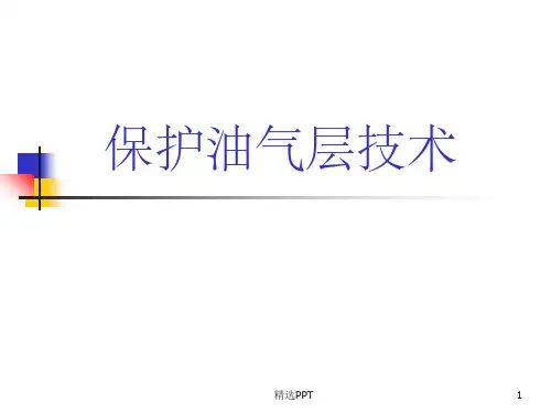 《保护油气层技术》PPT课件