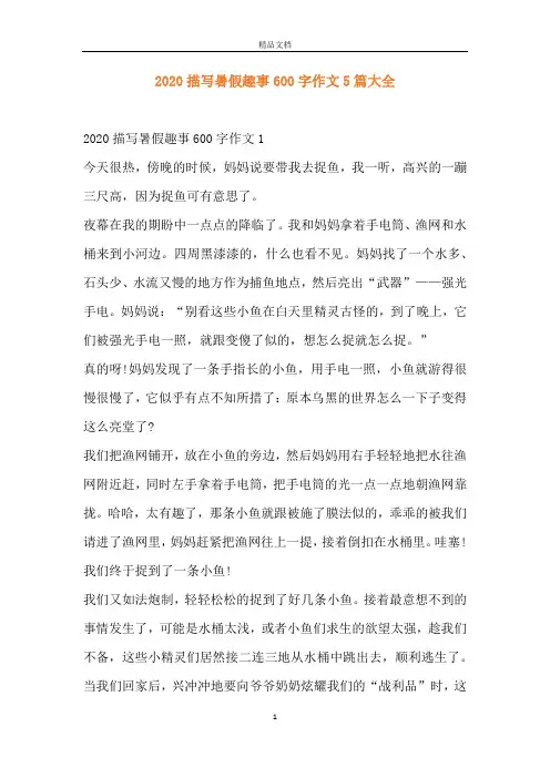 2020描写暑假趣事600字作文5篇大全