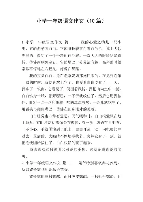 小学一年级语文作文(10篇)