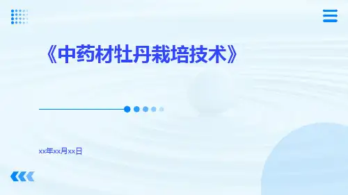 中药材牡丹栽培技术