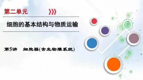高考总复习生物(人教版)课件：第二单元 细胞的基本结构与物质运输 第5讲 细胞器(含生物膜系统)
