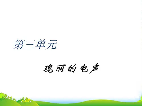 八年级下册音乐新授课《瑰丽的电声》课件 人教新课标版