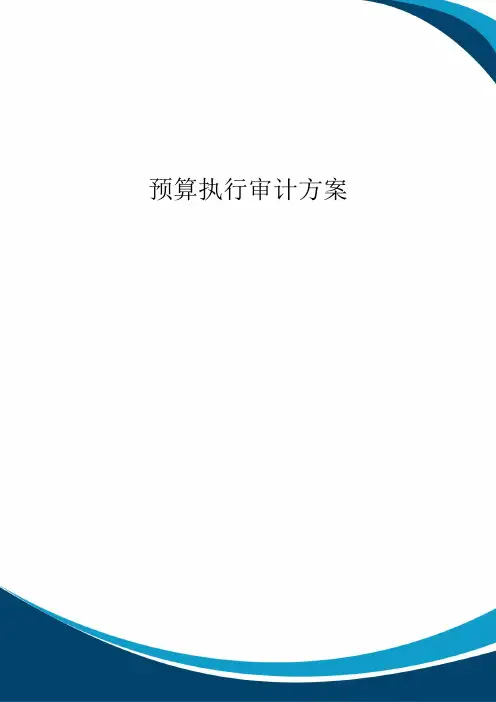 预算执行审计方案