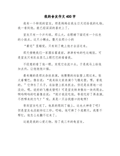 我的舍友作文400字