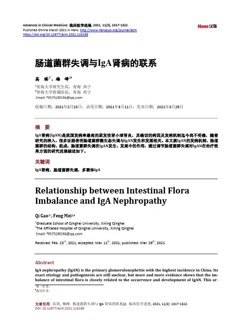 肠道菌群失调与IgA肾病的联系