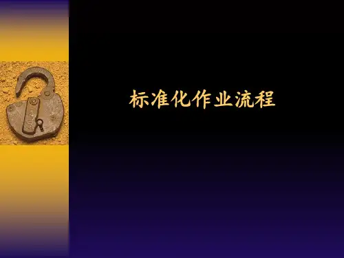 标准化作业流程 ppt课件