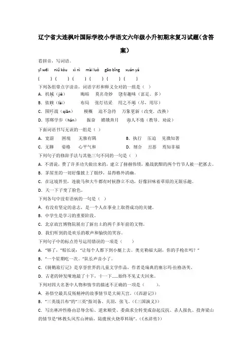 辽宁省大连枫叶国际学校小学语文六年级小升初期末复习试题(含答案)