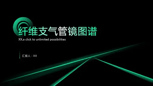 纤维支气管镜图谱