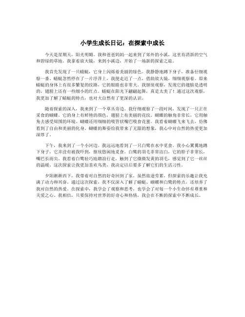 小学生成长日记：在探索中成长