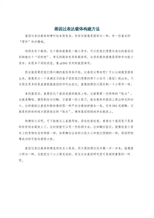 基因过表达载体构建方法
