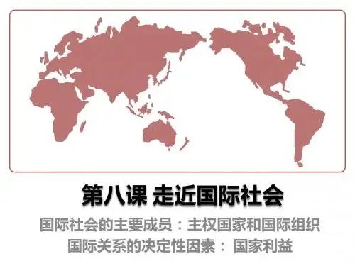 2.4.8《走近国际社会》精品复习课件