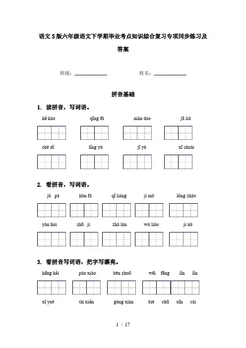 语文S版六年级语文下学期毕业考点知识综合复习专项同步练习及答案