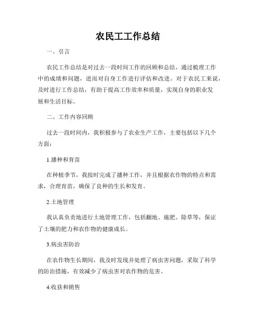 农民工工作总结