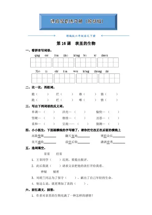 部编版六年级语文下册《第16课  表里的生物》(课后练习题)(附答案)