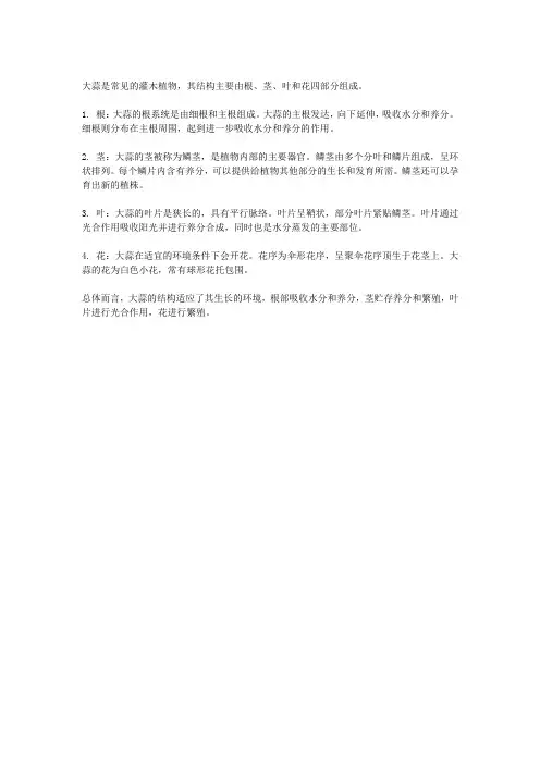 大蒜的结构