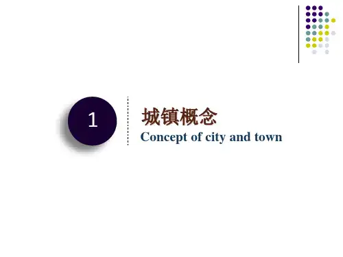 2.1.13城乡划分城市地理学