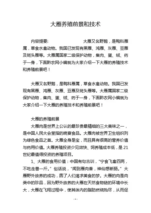 大雁养殖前景和技术