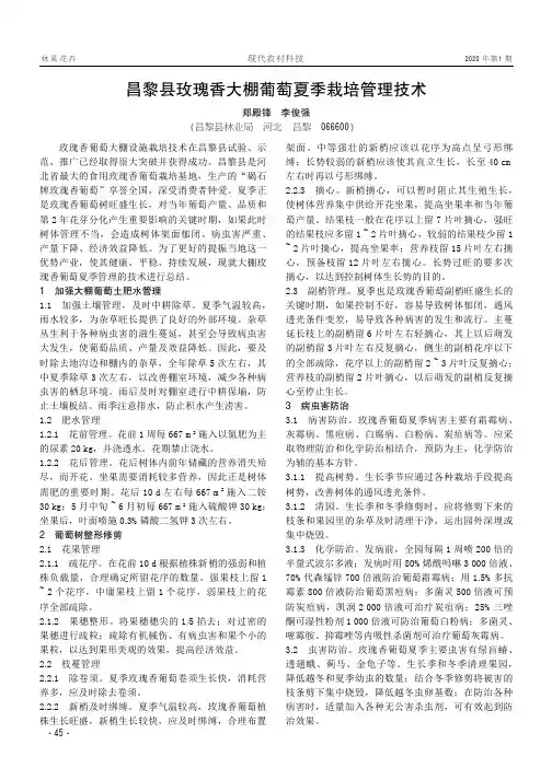 昌黎县玫瑰香大棚葡萄夏季栽培管理技术