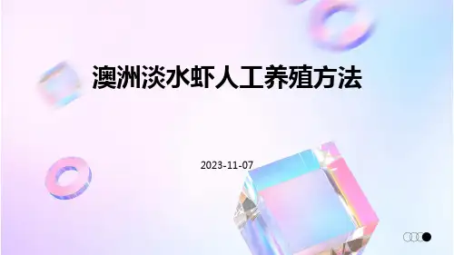 澳洲淡水虾人工养殖方法