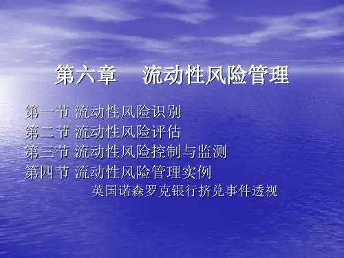 流动性风险管理ppt