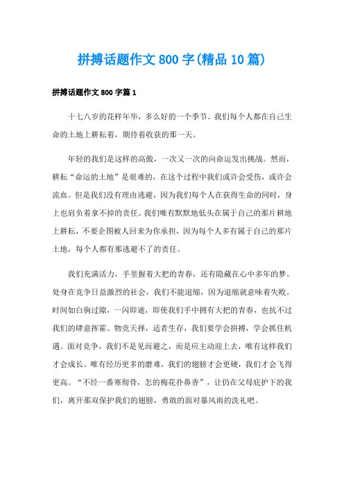 拼搏话题作文800字(精品10篇)