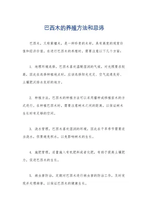 巴西木的养殖方法和忌讳