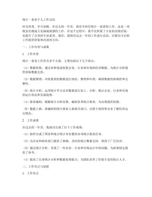 统计一套表个人工作总结