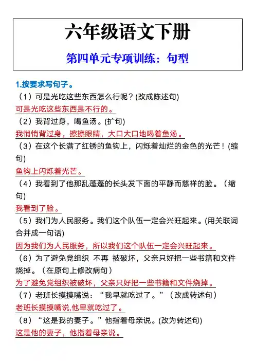 六年级语文下册 第四单元专项训练：句型