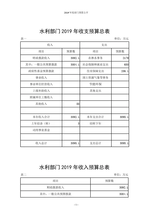 水利部门2019年收支预算总表