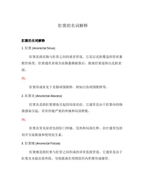 肛窦的名词解释