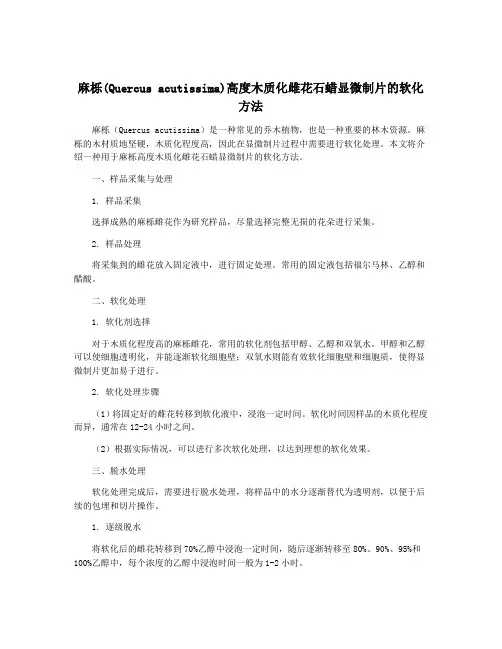 麻栎(Quercus acutissima)高度木质化雌花石蜡显微制片的软化方法