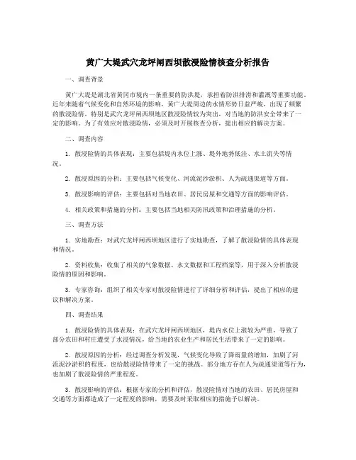 黄广大堤武穴龙坪闸西坝散浸险情核查分析报告