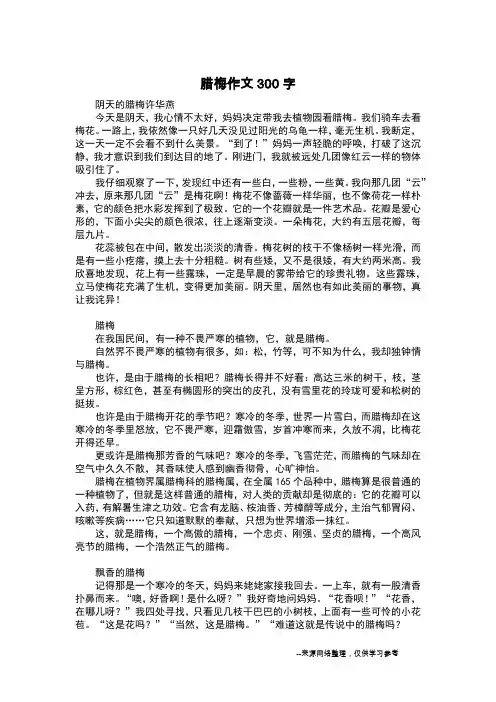 腊梅作文300字_日记300字