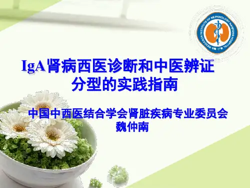 IGA肾病临床实践指南解读