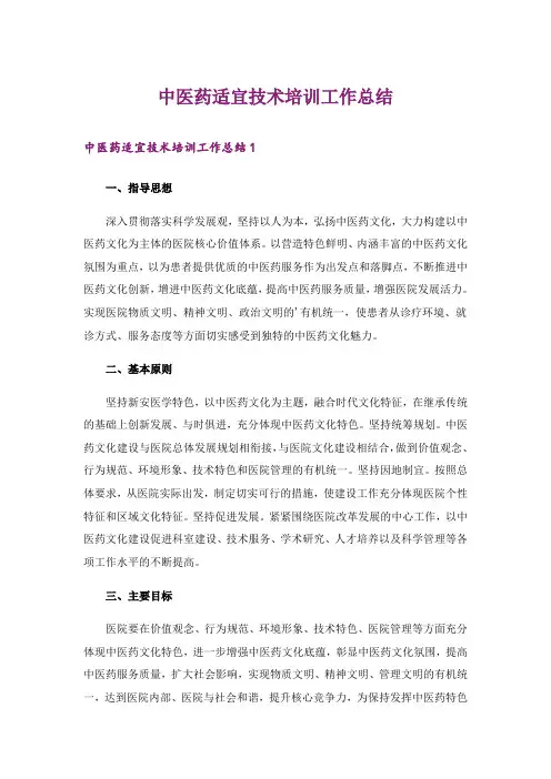 中医药适宜技术培训工作总结