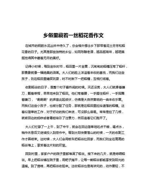乡俗里藏着一丝稻花香作文