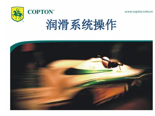 润滑系统保养