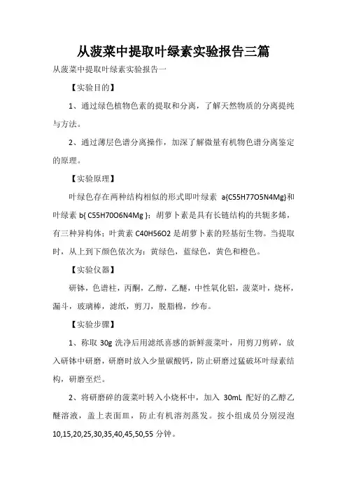  从菠菜中提取叶绿素实验报告三篇