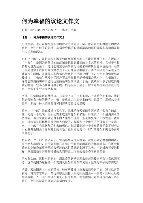 何为幸福的议论文作文