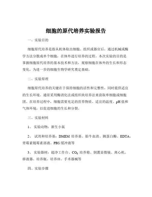 细胞的原代培养实验报告