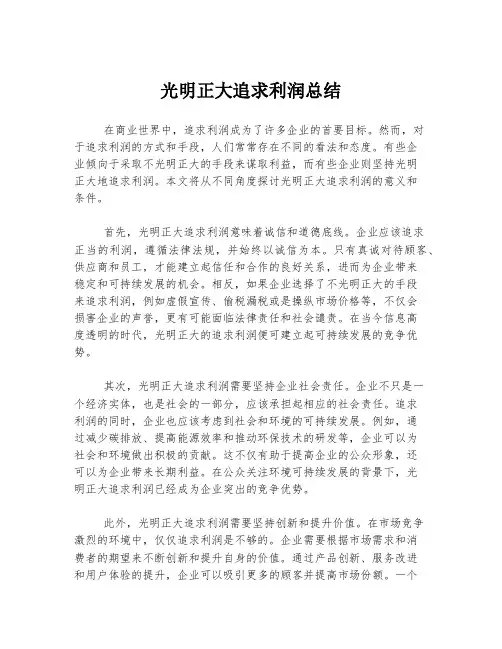 光明正大追求利润总结